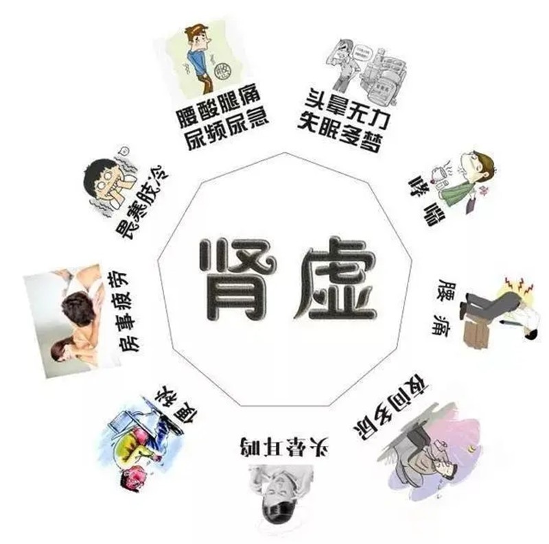 这“肾”不是那“肾”——说说“肾”虚（“肾”亏）和肾衰