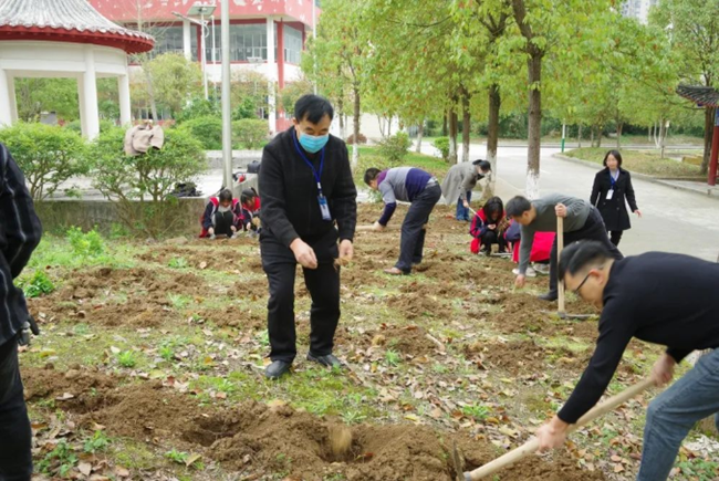 【中医药文化进校园】中草药“种”进校园 传承国粹精髓