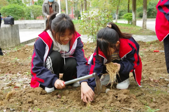 【中医药文化进校园】中草药“种”进校园 传承国粹精髓