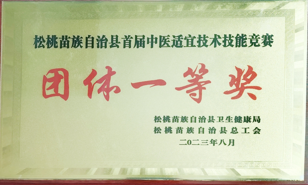 松桃苗族自治县首届中医适宜技术技能竞赛团体一等奖