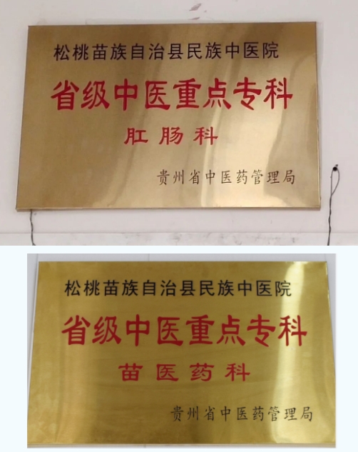 悬壶济世护健康——写在松桃苗族自治县民族中医院建院四十周年之际