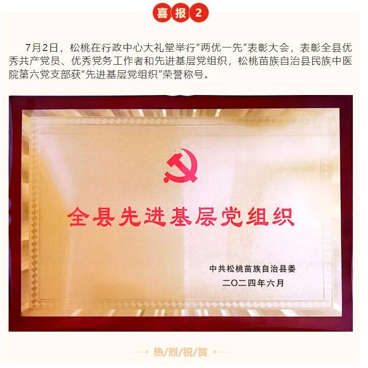 喜报|松桃民族中医院两个党支部分别获市级、县级表彰