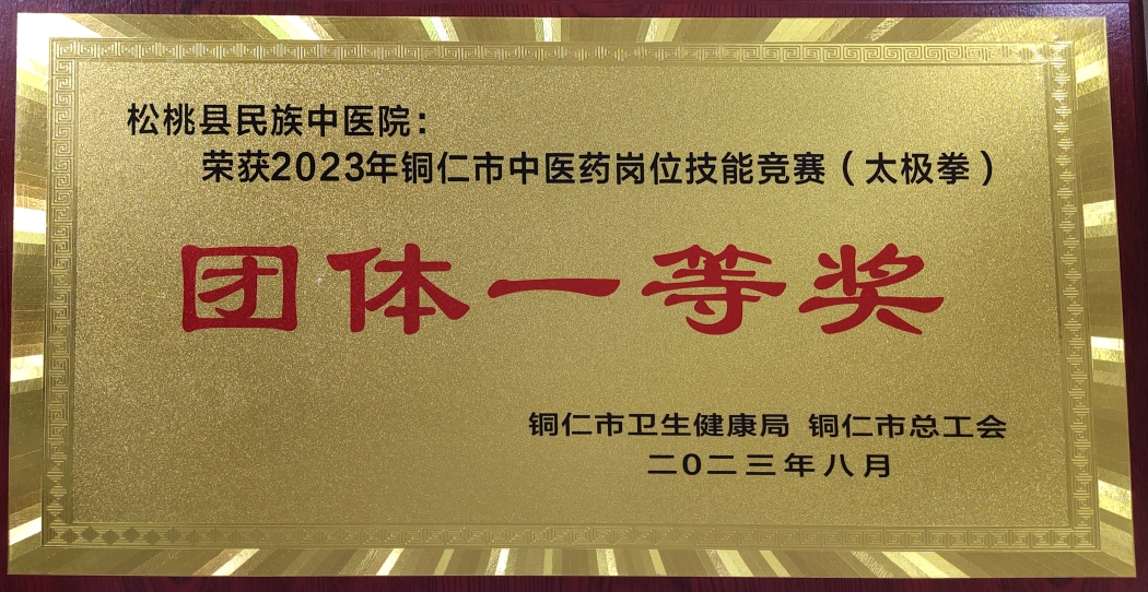 2023年铜仁市中医药岗位技能竞赛（太极拳）团体一等奖