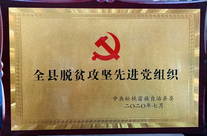 松桃县民族中医院荣誉展厅