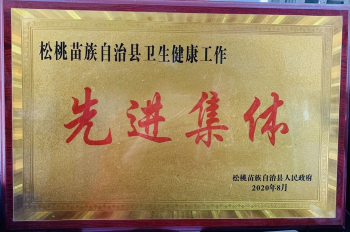 松桃县民族中医院荣誉展厅