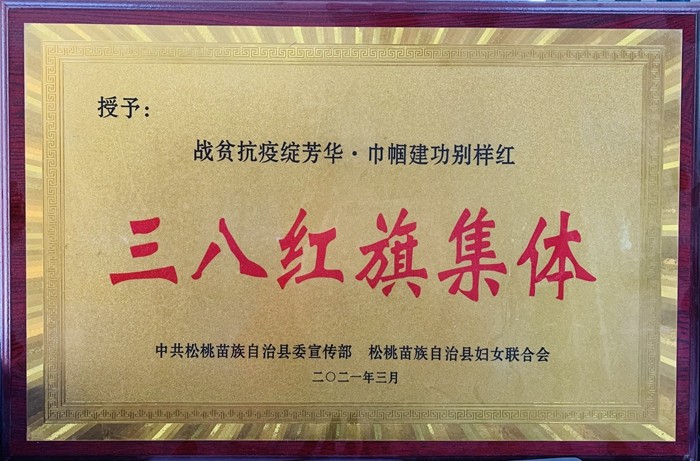 松桃县民族中医院荣誉展厅
